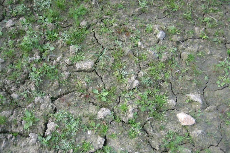 В полях где стоит вода Terraland помогает 2