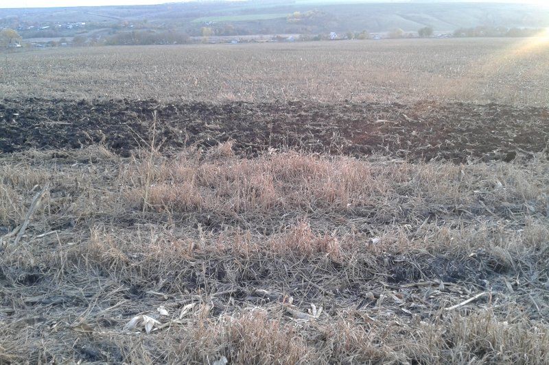 Terraland TO 4000 с прицепным катком CutterPack 4000 на Черноземье 9