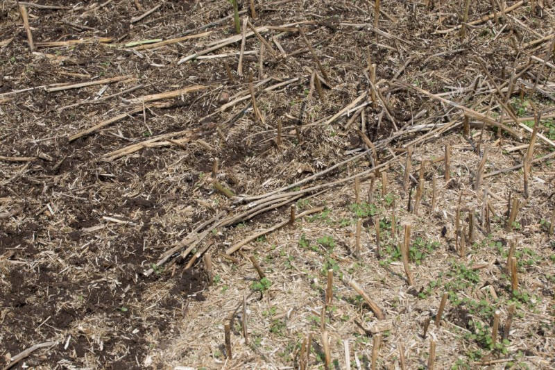 champ sec apr s une moisson de c p7gsg580se