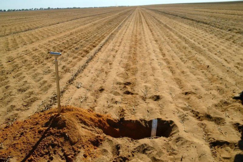 Australian farmers get the Terraland TO experience 2