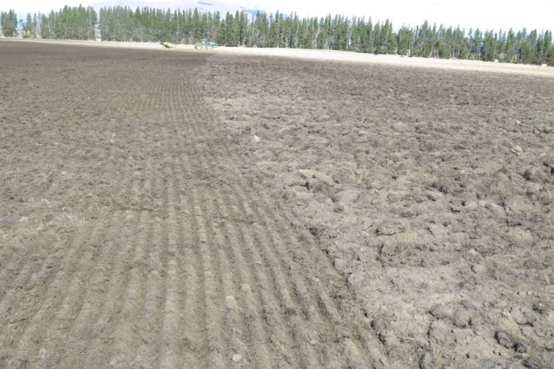 12 meters disc cultivator – largest in New Zealand 3