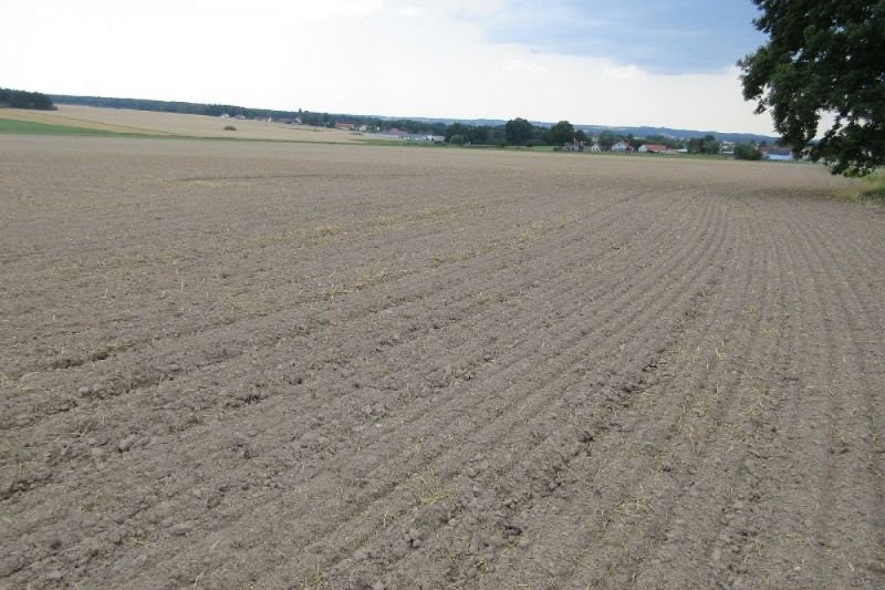 Deep tillage with preservation of the soil moisture before the seeding of oil seed rape 2