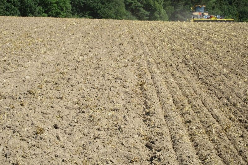 Deep tillage with preservation of the soil moisture before the seeding of oil seed rape 4