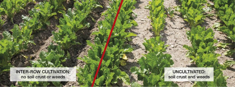 comparison of loosened and unloo o59rgpitv1